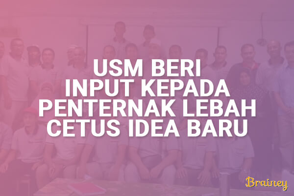 Read more about the article USM BERI INPUT KEPADA PENTERNAK LEBAH UNTUK CETUS IDEA BAHARU